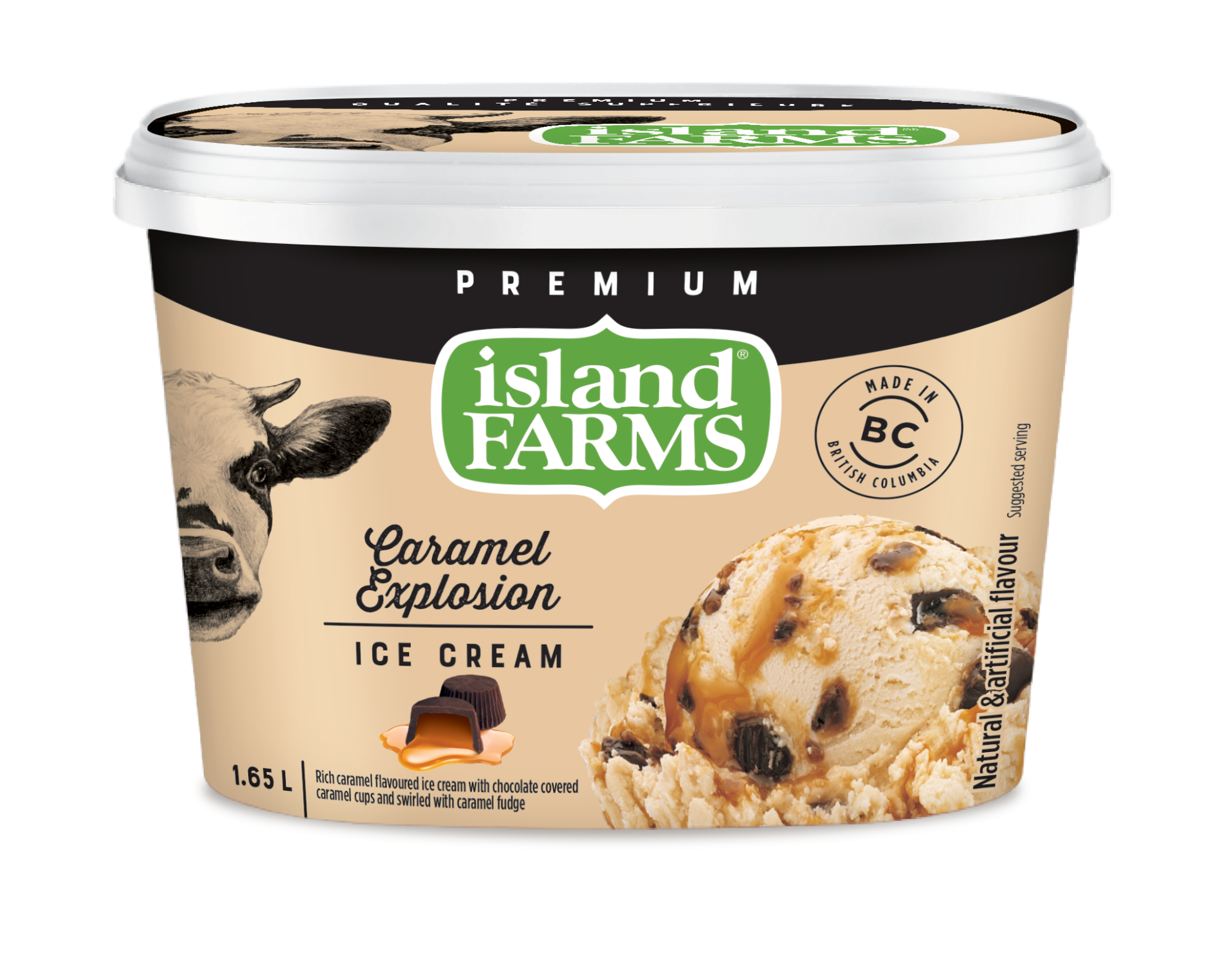 Country Cream Caramel Explosion Ice Cream Island Farms